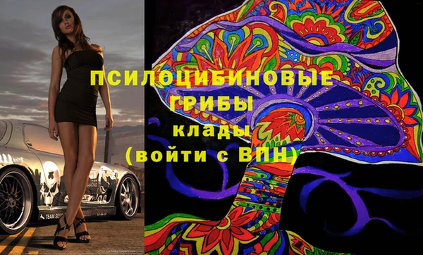 шишки Инсар