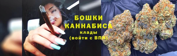 шишки Инсар