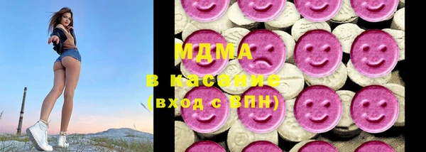 шишки Инсар